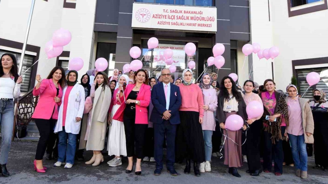 Pembe balonlar meme kanserine farkındalık için uçuruldu