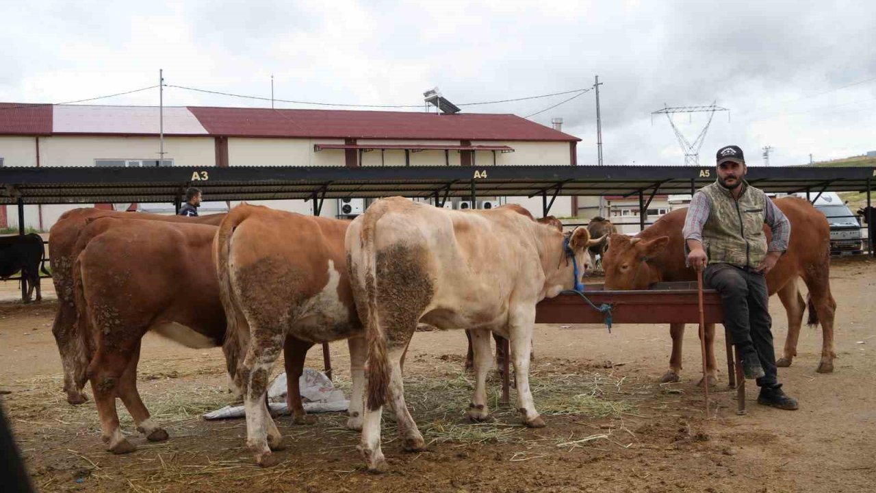 Bayburt’ta canlı hayvan pazarı yeniden hizmete açıldı