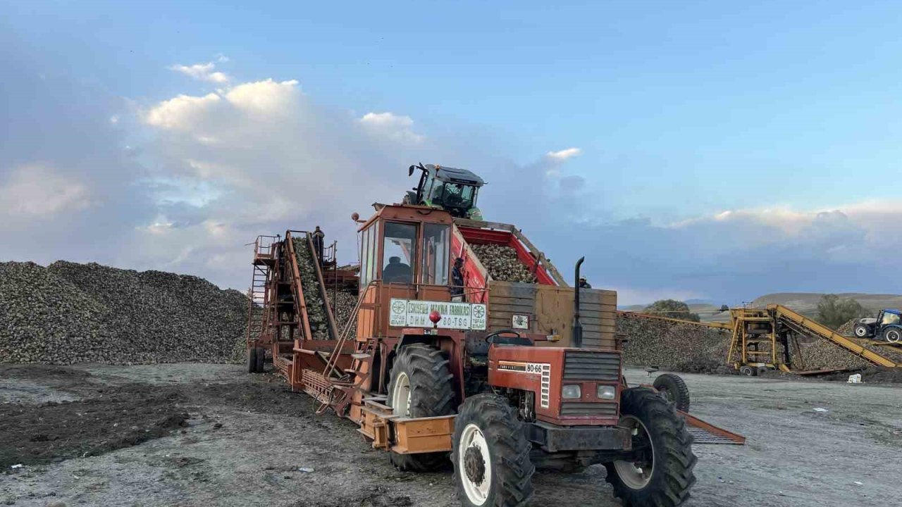Kars’ta şeker pancarı hasadında yoğun mesai: Çiftçiler zamanla yarışıyor