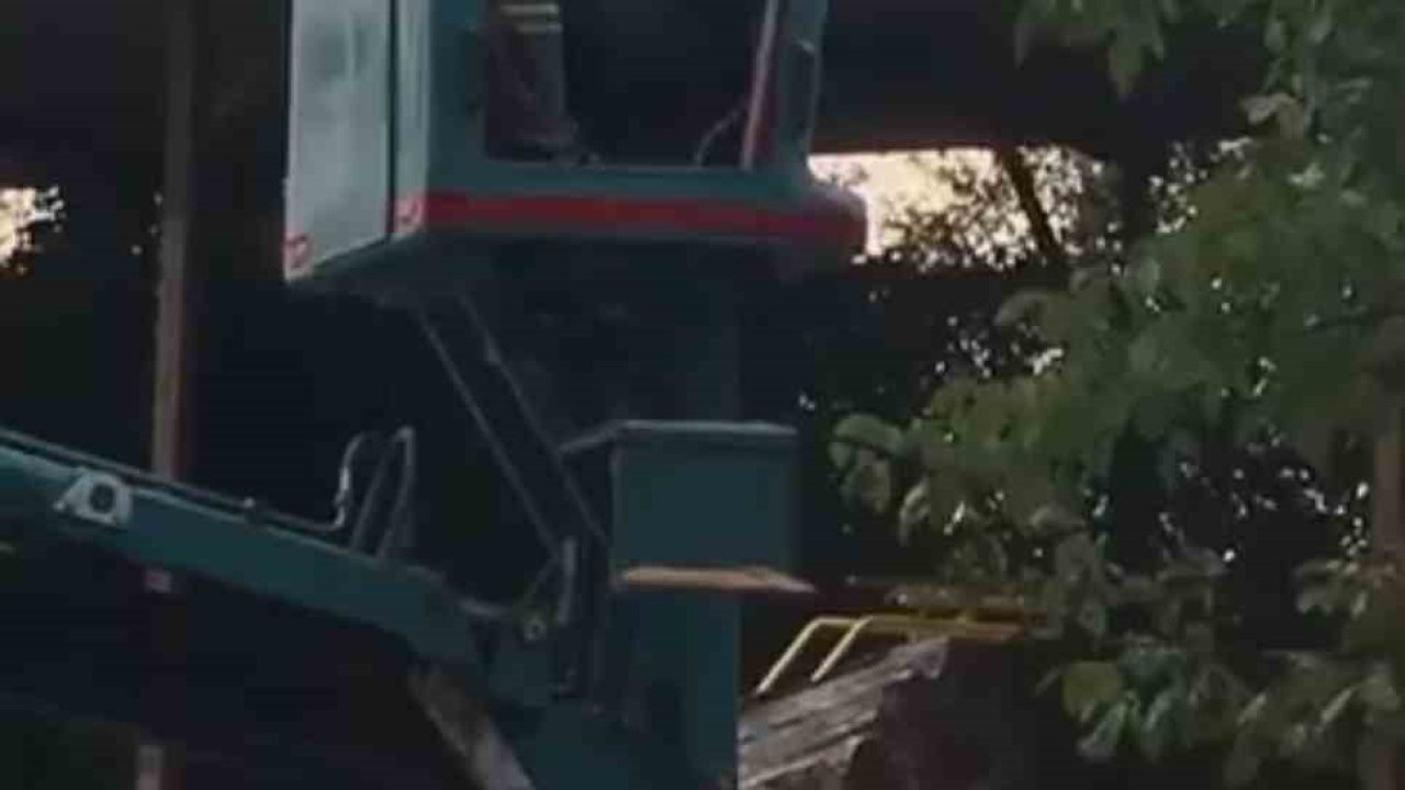 Bursa’da vinç üstünde "arı alarmı"