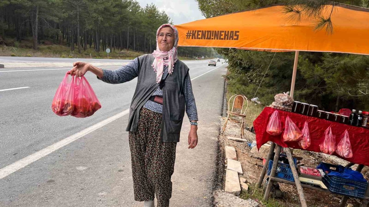 Muğla’da çıntarlar tezgahtaki yerini aldı