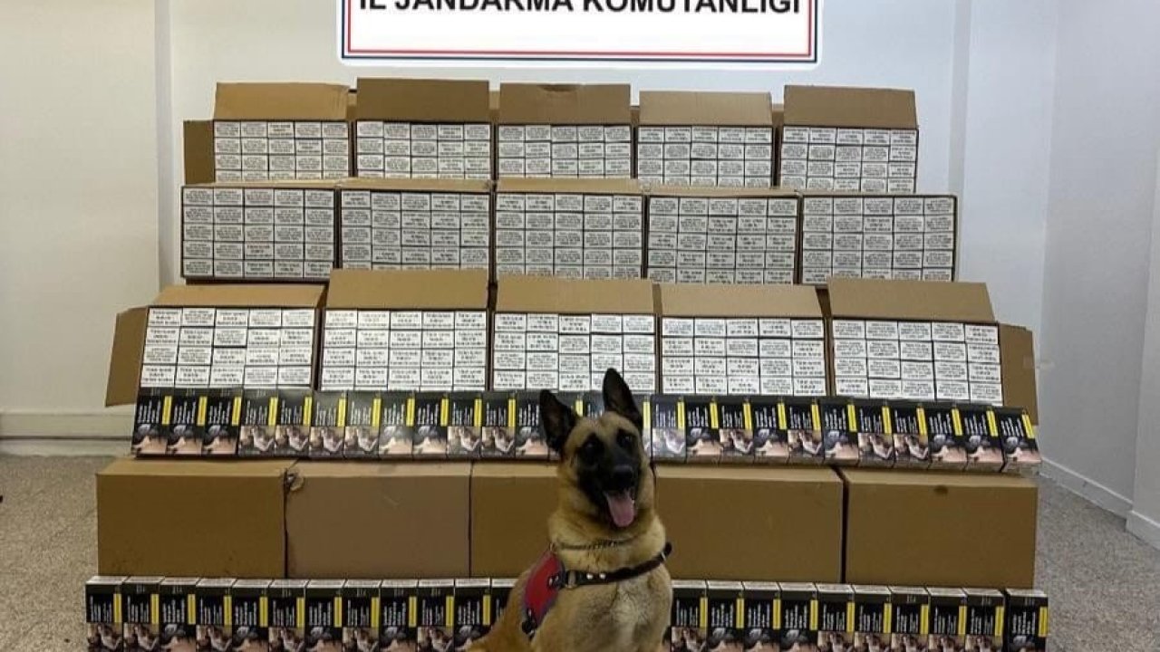 Tokat’ta 1 milyon 200 bin TL değerinde bandrolsüz makaron ele geçirildi
