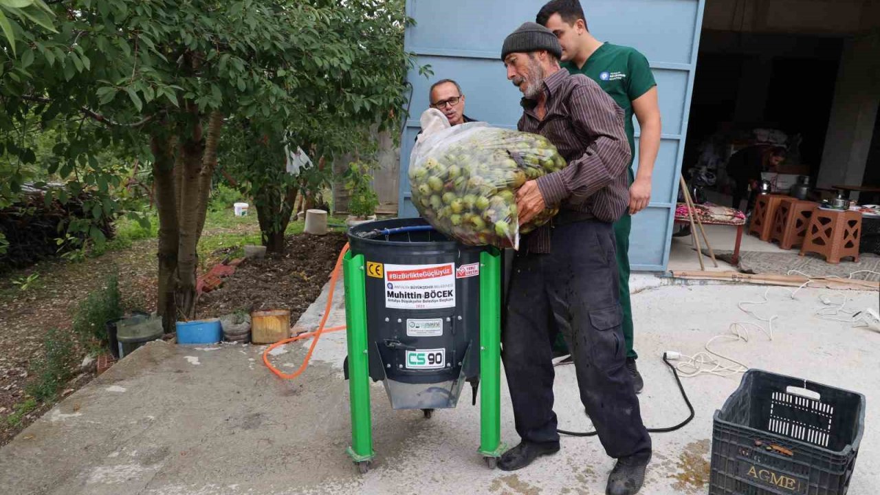 Büyükşehir’in ceviz soyma makineleri üreticilerin hizmetinde