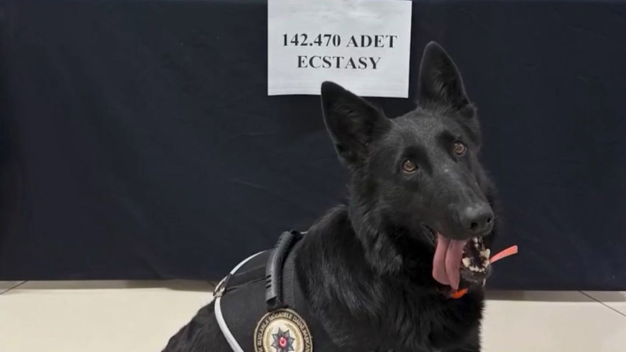 Karaman’da 71 milyon liralık uyuşturucu hap ele geçirildi