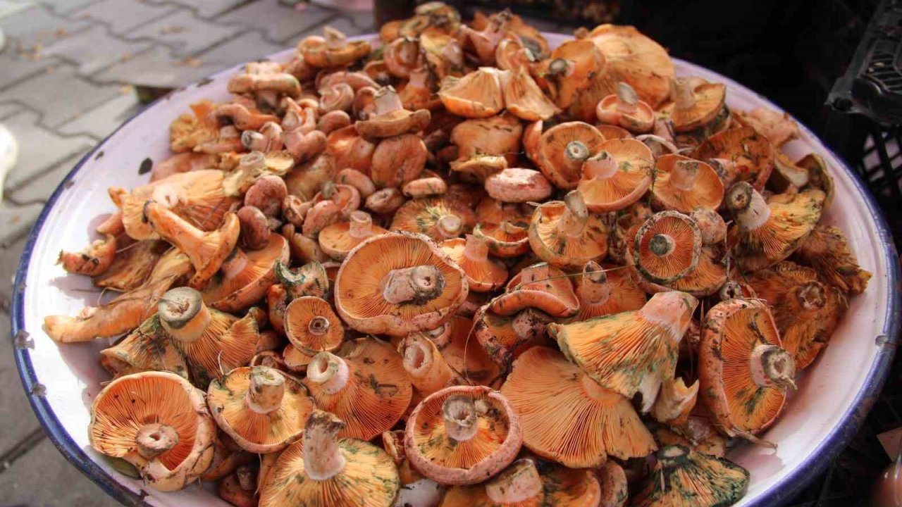 Çıntar pazar tezgahlarında yerini aldı