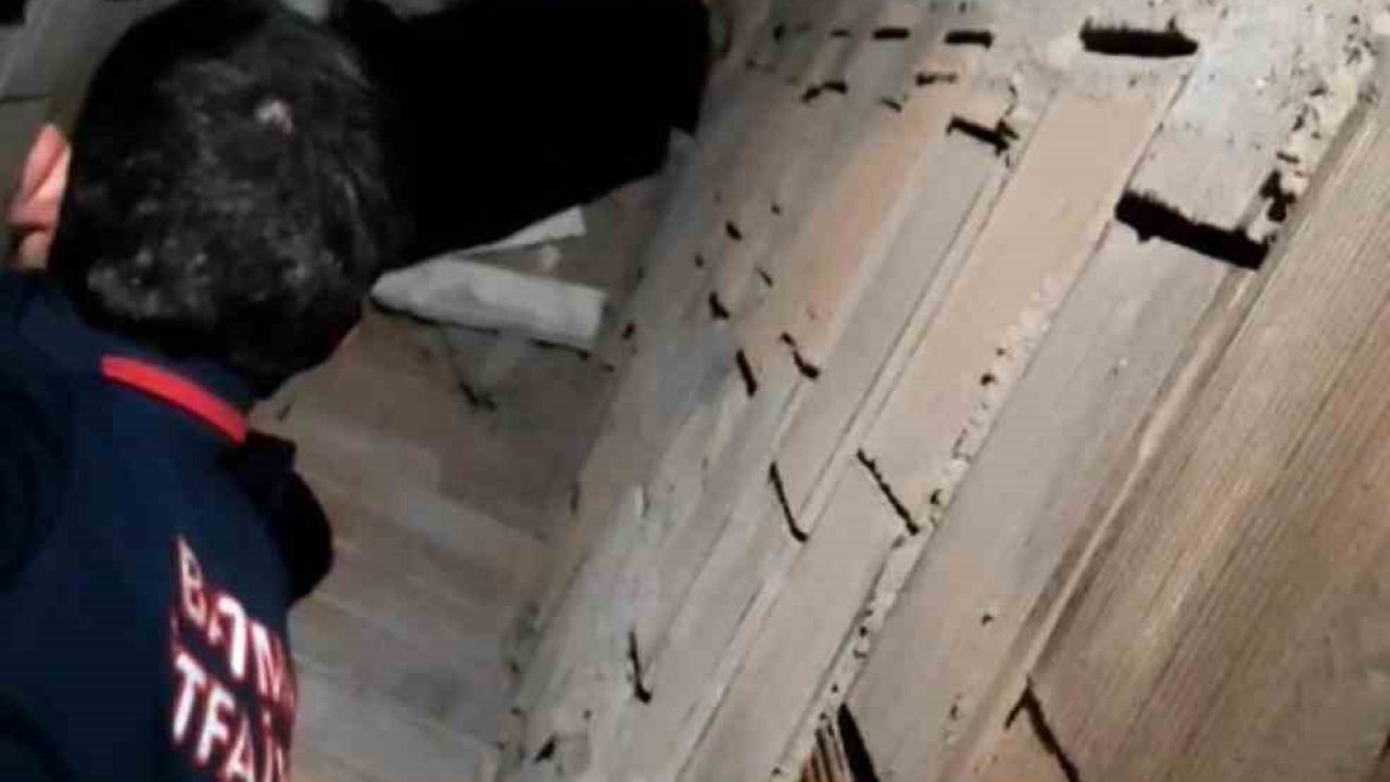 Batman’da havalandırma boşluğuna düşen kedi kurtarıldı