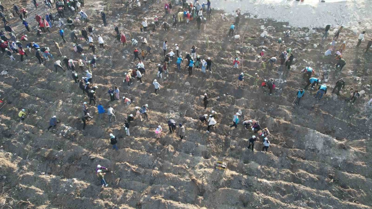 Manisa’da binlerce fidan toprakla buluşacak