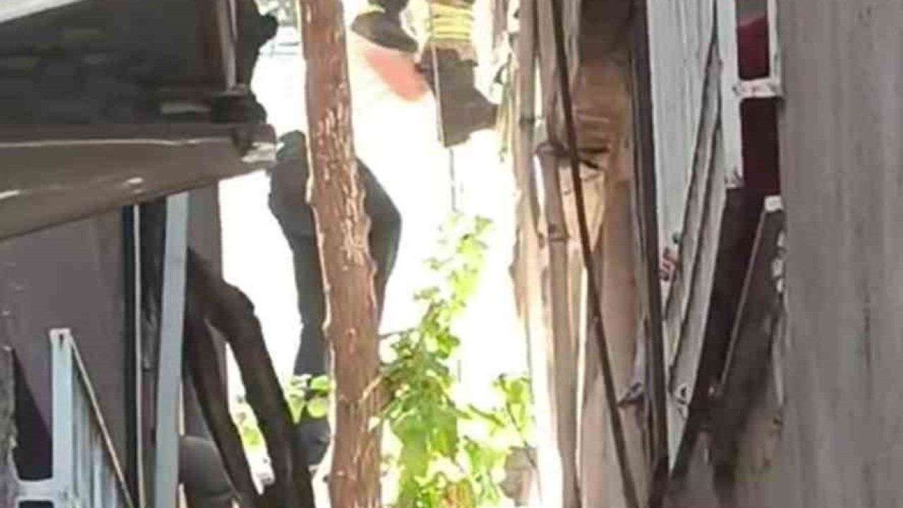 Ağaçta asılı kalan şahsı itfaiye kurtardı