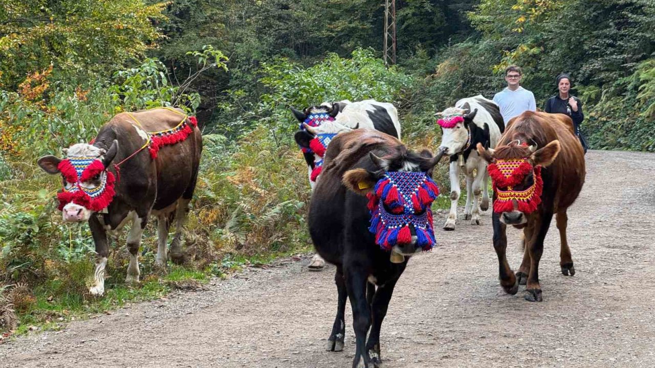 Asırlık gelenek sürdürülüyor: Keremali Yaylası’ndan renkli dönüş şöleni