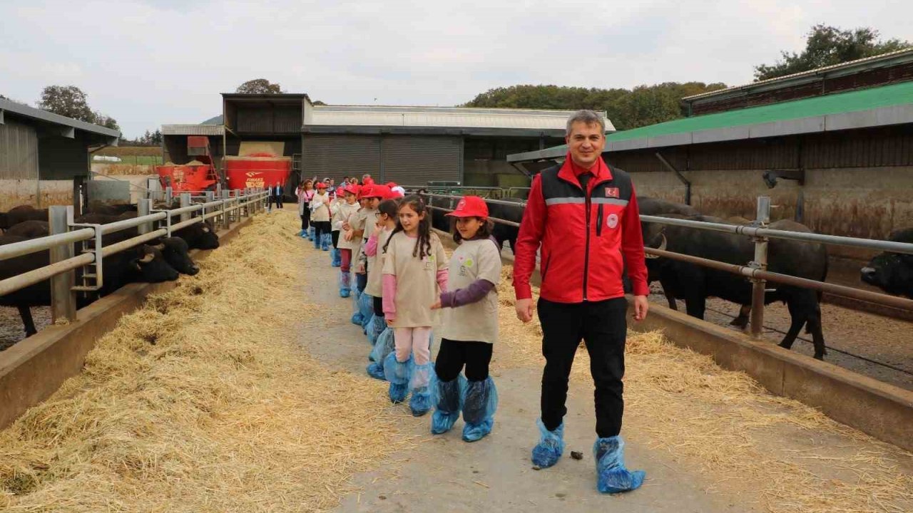 Minikler tarımı yerinde öğrendi