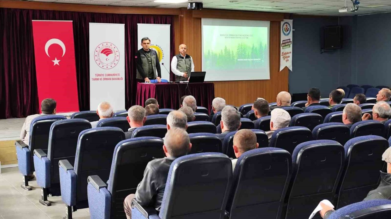 Bozüyük ormanları sertifikalandırılıyor