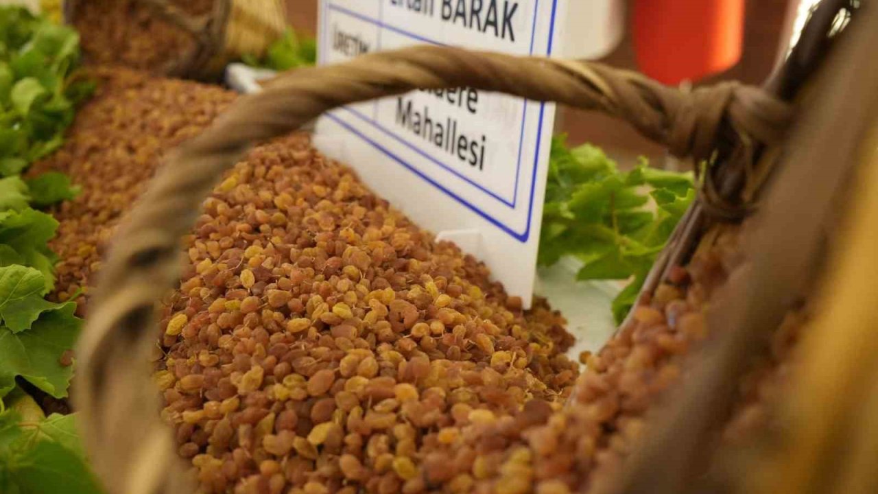 Manisa’nın 9 aylık tarım ihracatı 706,7 milyon dolara ulaştı