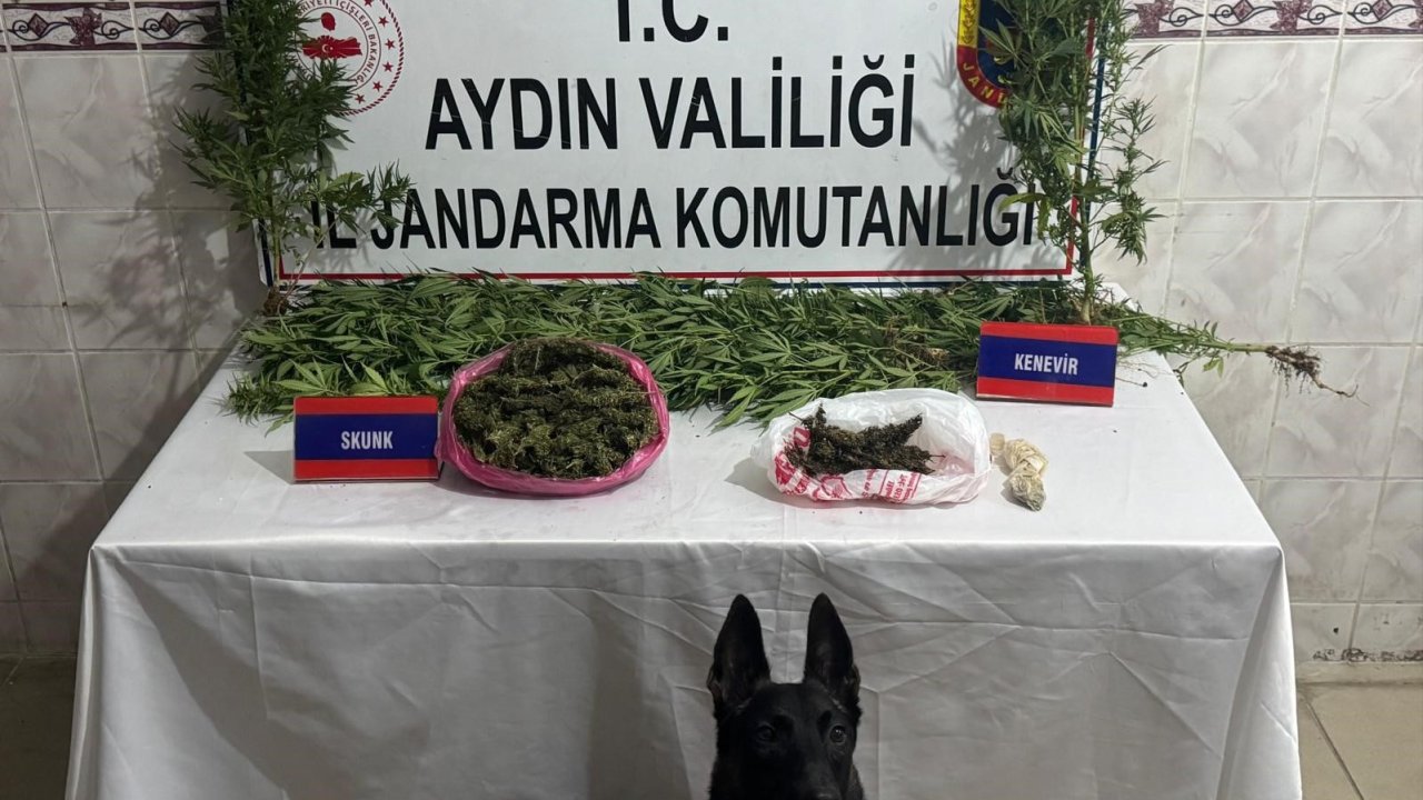 Uyuşturucu satıcısının evinde 498 gram skunk ele geçirildi