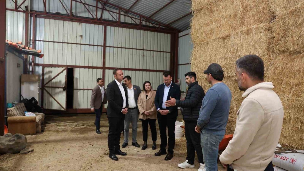 Başkan Dere, şap hastalığından mağdur olan aileleri yalnız bırakmadı