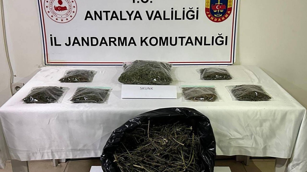 Alanya’da uyuşturucu operasyonu: 800 gram uyuşturucu ele geçirildi