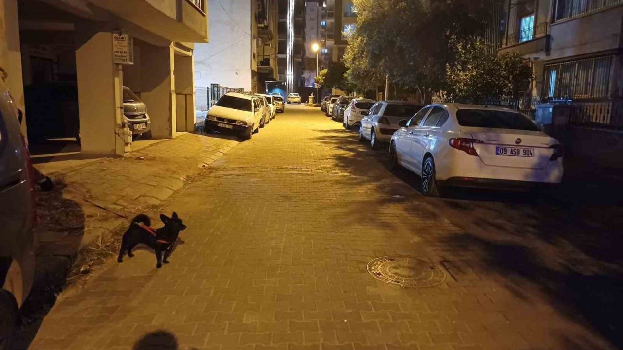 Balıkesir’deki deprem Aydın’da da hissedildi