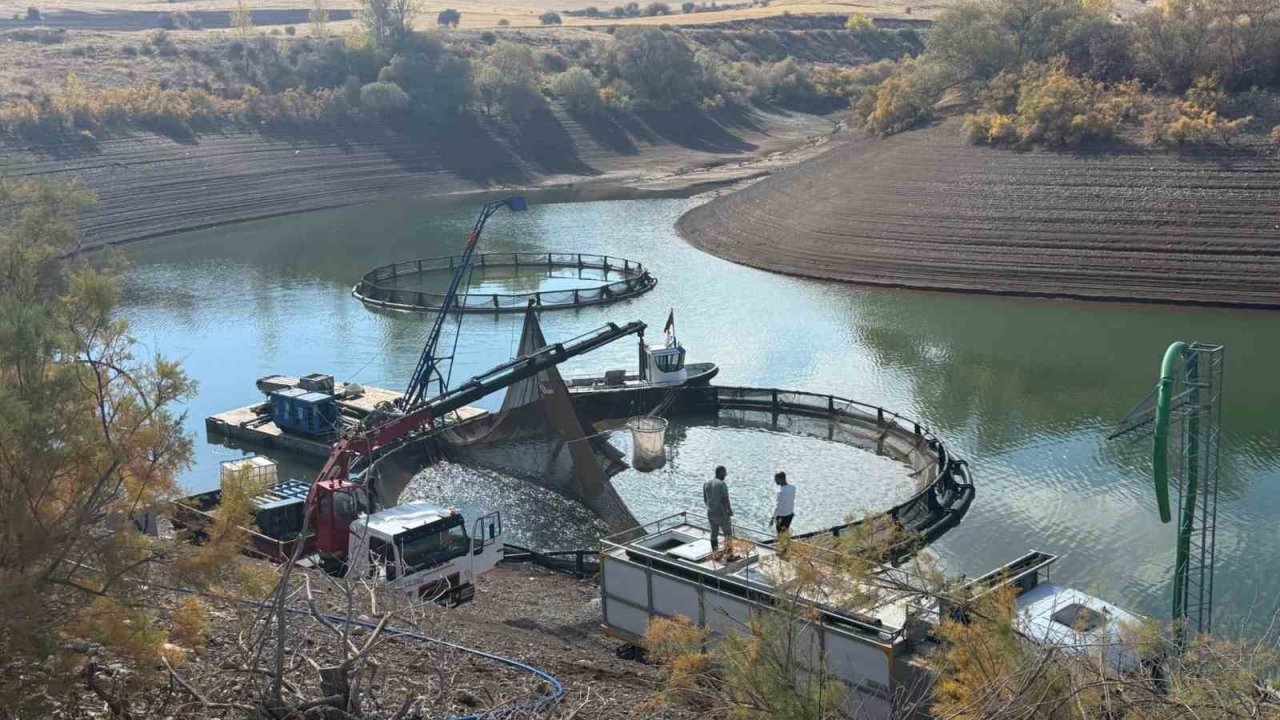 Tercan Baraj Gölü’nde su ürünleri üretimi büyüyor