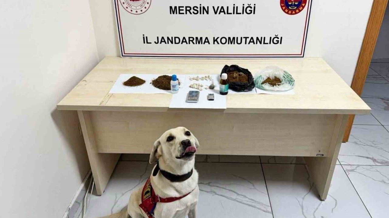 Mersin’de uyuşturucu operasyonu: 5 şüpheli tutuklandı