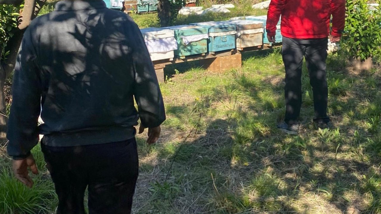 Ortaca’da arılı kovan desteklemeleri devam ediyor