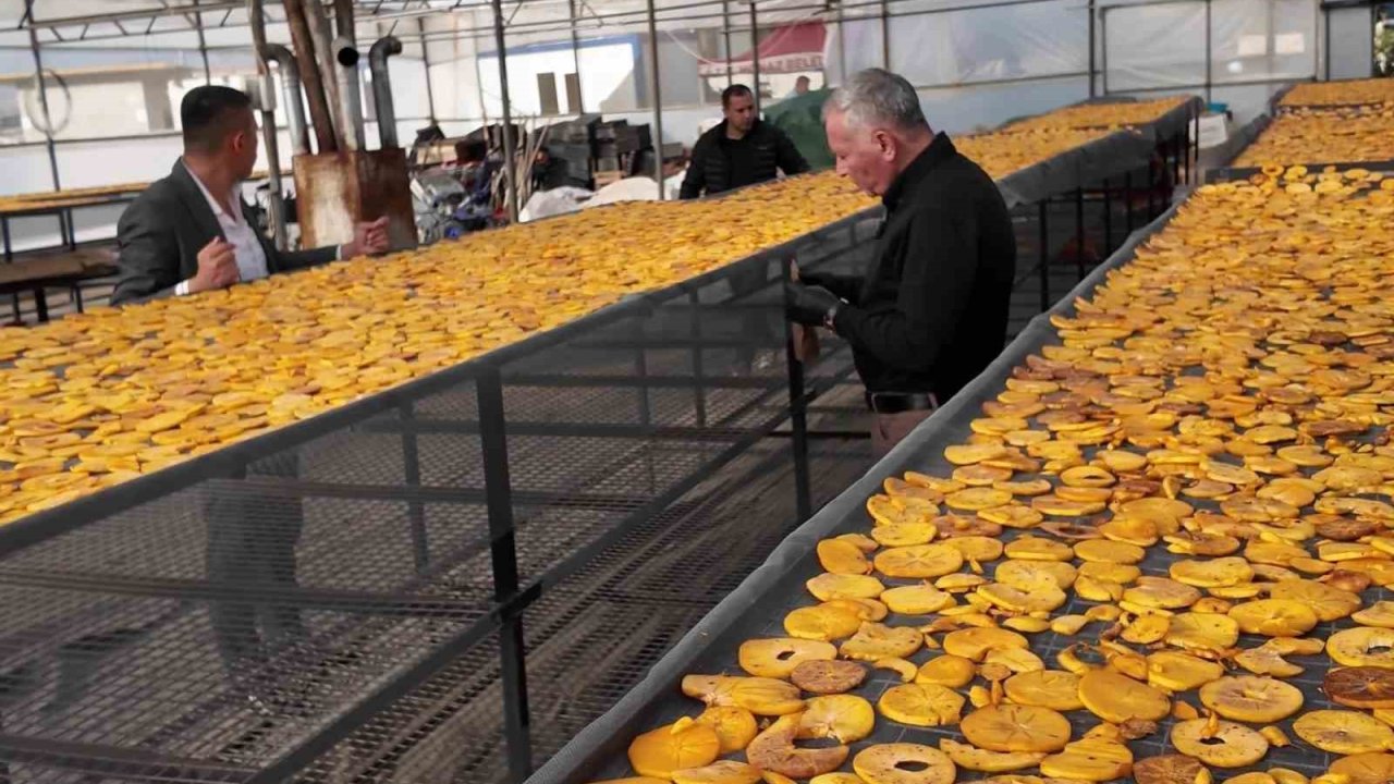 Honaz’ın meşhur cennet hurması bu kez cips olarak damakları şenlendirecek
