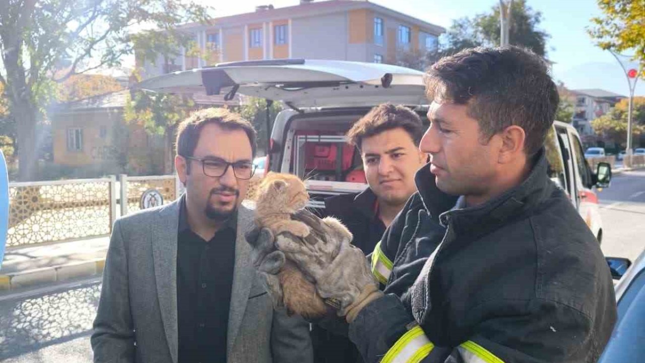 Otomobilin motor kısmına sıkışan yavru kedi itfaiye ekiplerince kurtarıldı