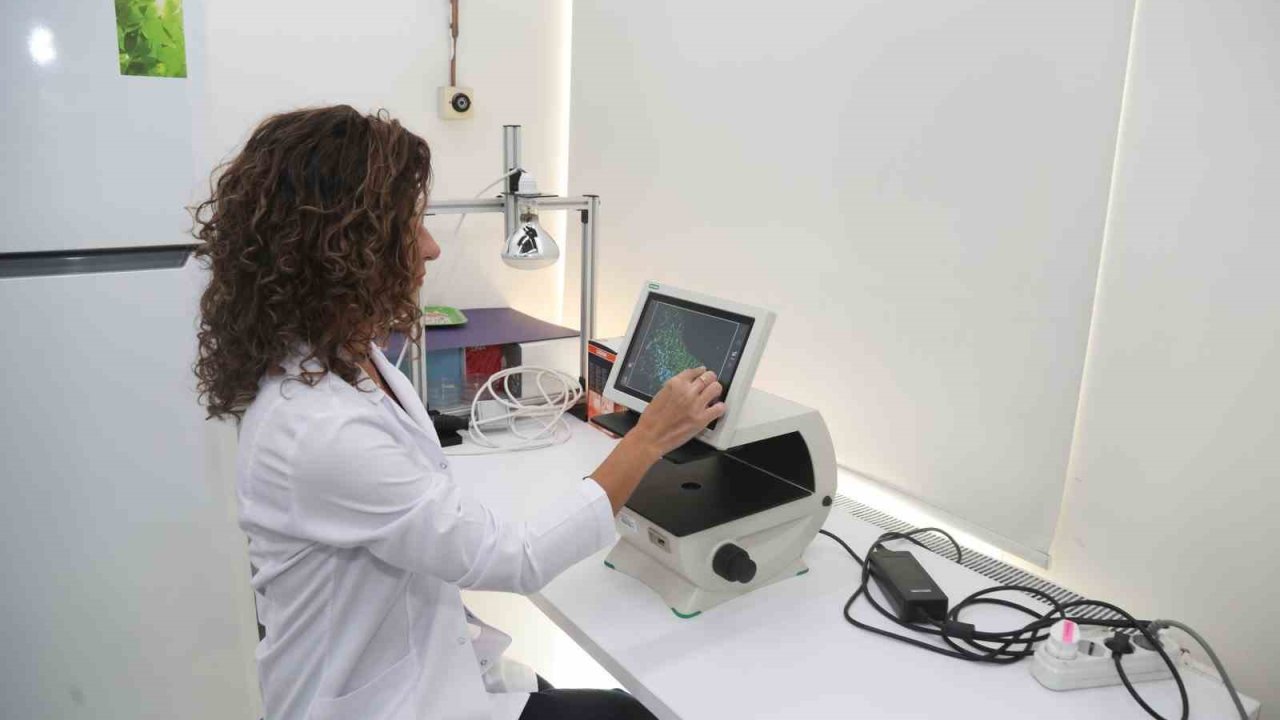 BTÜ’den aftlara hızlı ve doğal çözüm