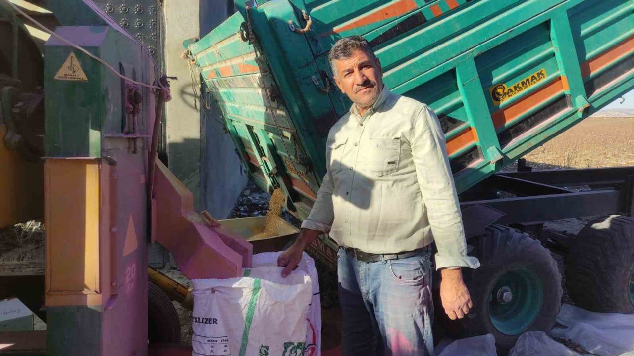 Araban Ovası’nda makarnalık ve baklavalık sert buğday ekimi hazırlıkları tamamlandı