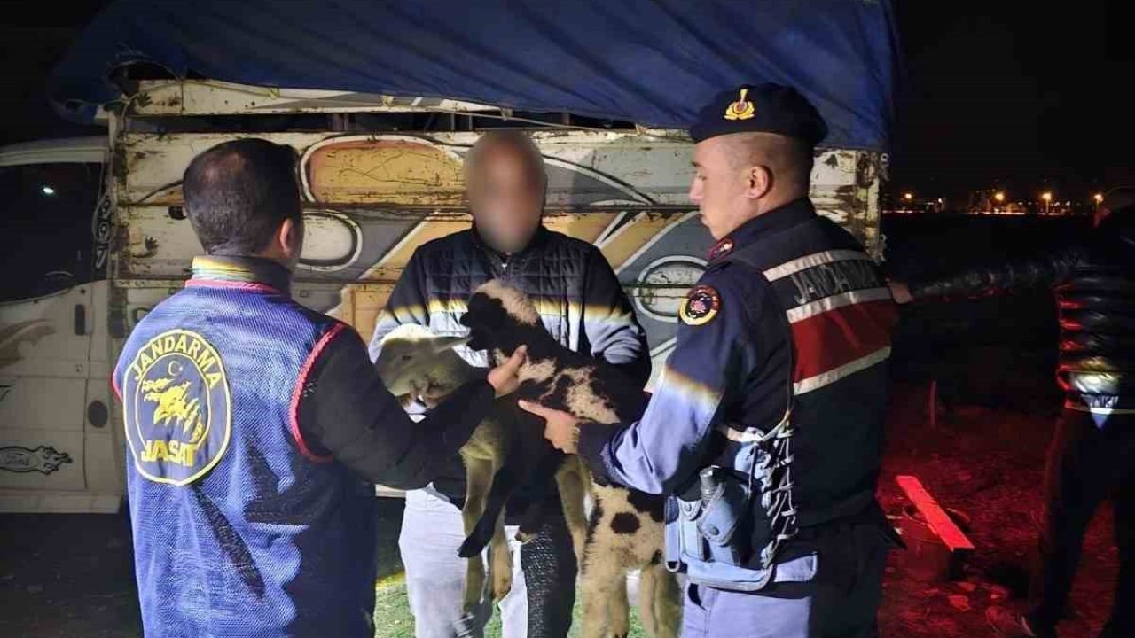 Küçükbaş hayvan çalan 4 kişiyi JASAT yakaladı