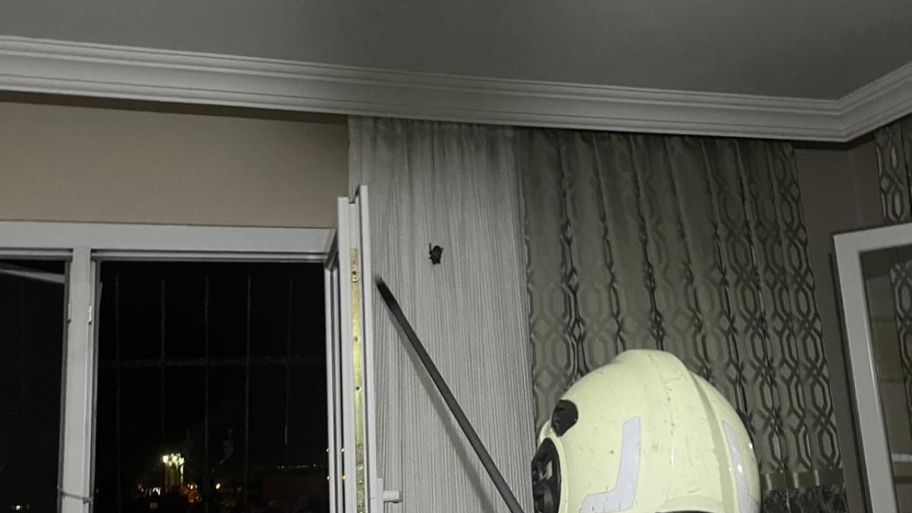 ARsuz’da eve giren yarasayı itfaiye yakaladı