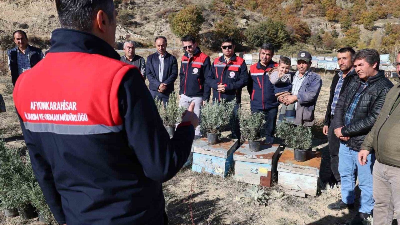 Arıcalara lavanta fidesi dağıtıldı