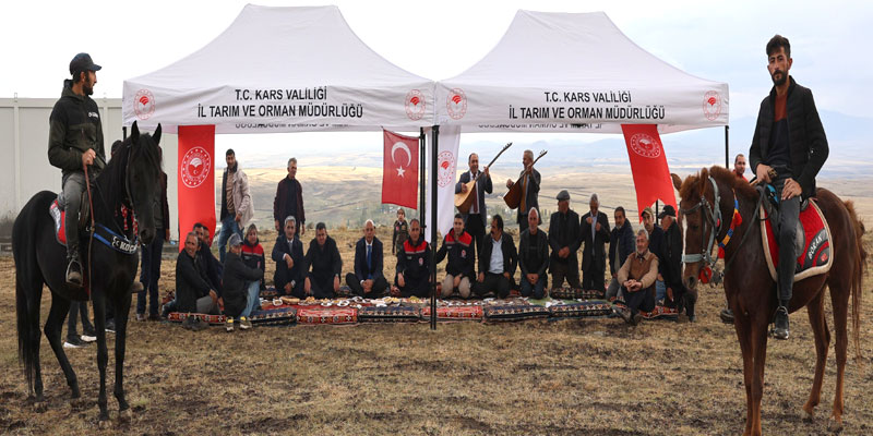 Arpaçay’da Koç Katım Geleneği Coşkuyla Yaşatıldı