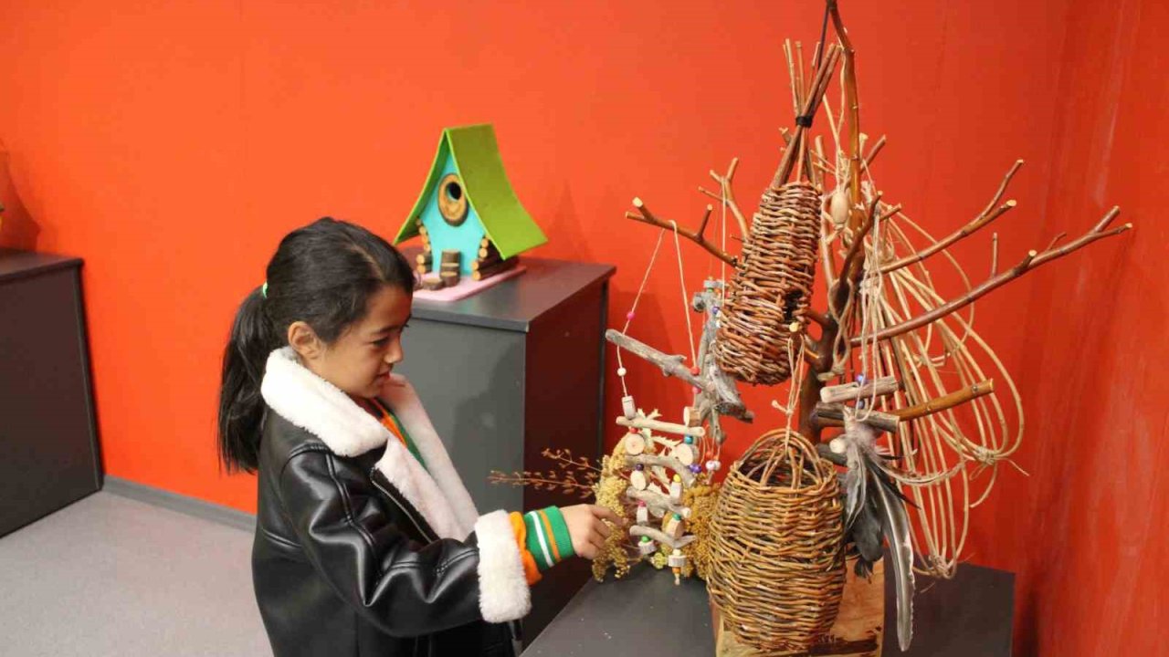 Doğada bulduğu ahşap parçalarını kuş evini çevirdi