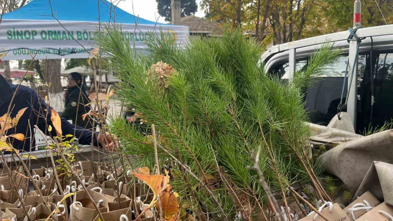 Sinop’ta vatandaşlara fidan dağıtıldı