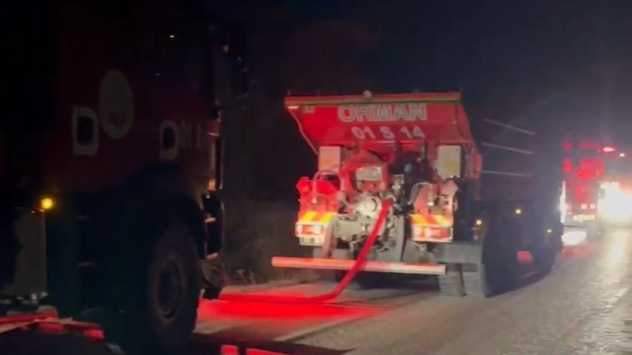 Adana’da orman yangını büyümeden söndürüldü