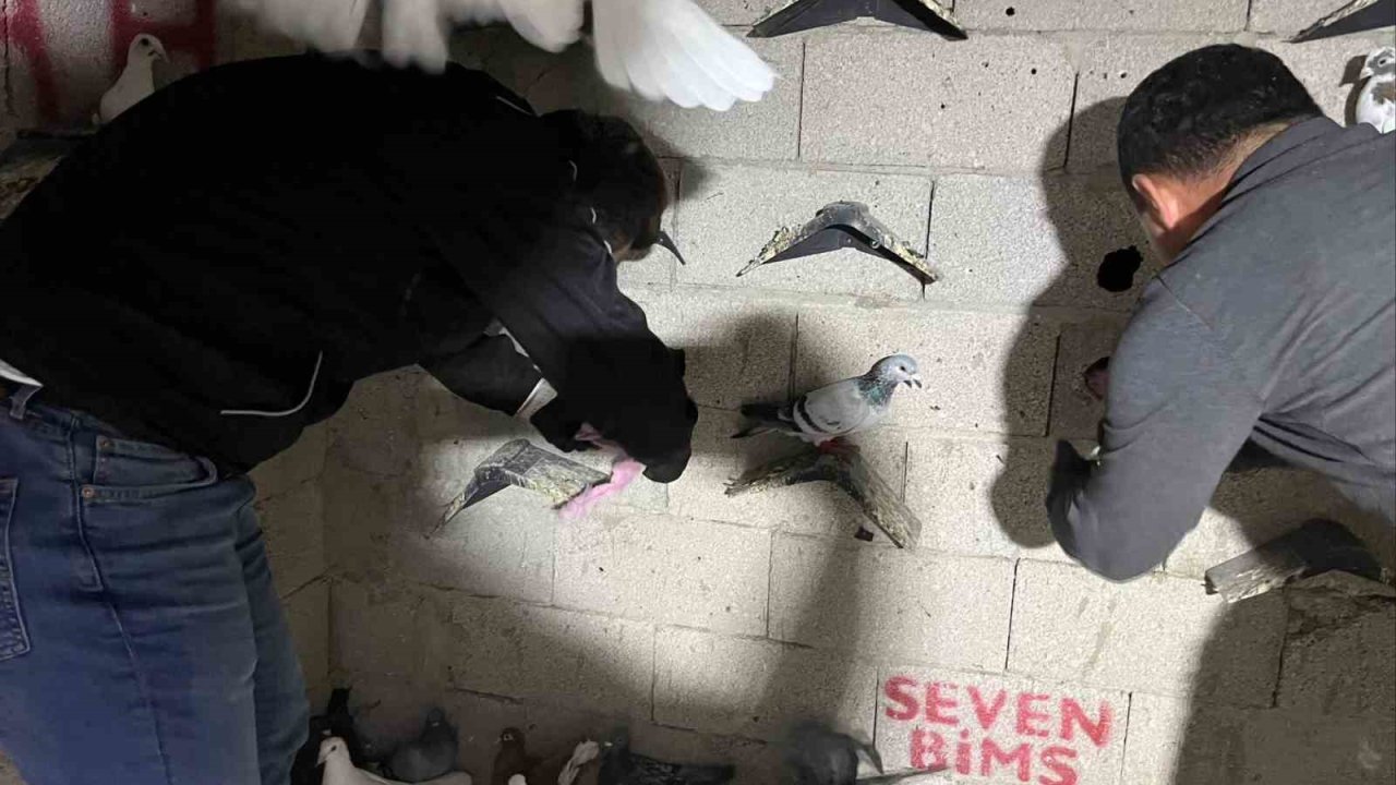 Hatay’da kuş kümesinden 2 kilo 500 gram uyuşturucu madde ve para çıktı