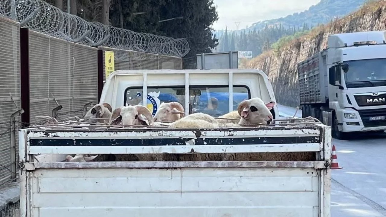 Hayvan hastalıkları ile mücadelede yol kontrolleri devam ediyor