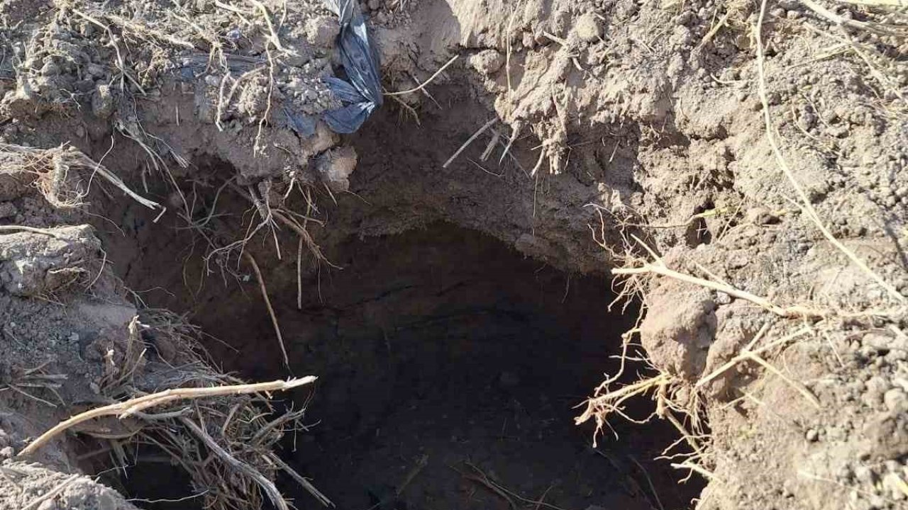 Çivril’de tarlada oluşan obruk korkuttu