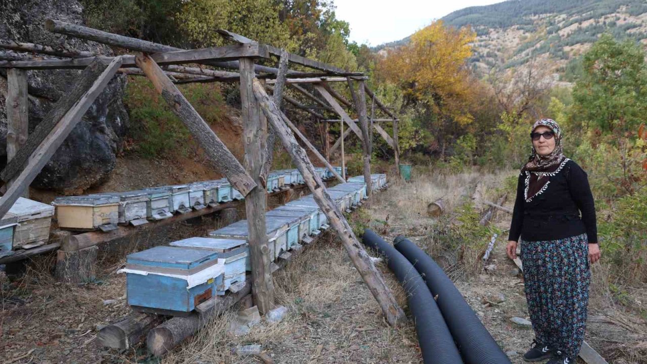 Adana’da sıcaklık düşmeyince arılar kışlama için kovanlara girmedi