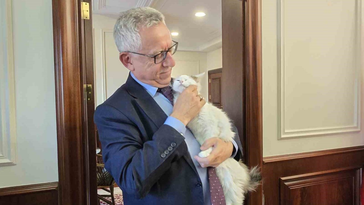 Makamında kedi besleyen Başkan Arslan, hayvan dostu projeleriyle de örnek oluyor