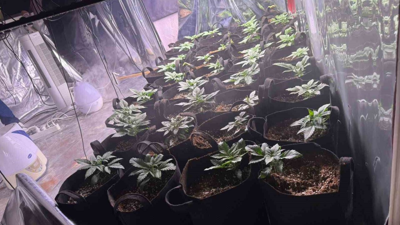 İzmir’de uyuşturucu operasyonunda 1 tutuklama