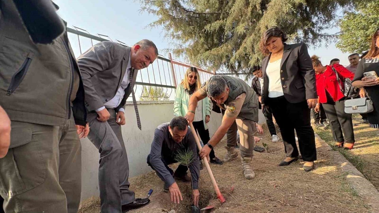 Yeşil vatan için Toroslar MESEM’de fidanlar toprakla buluştu