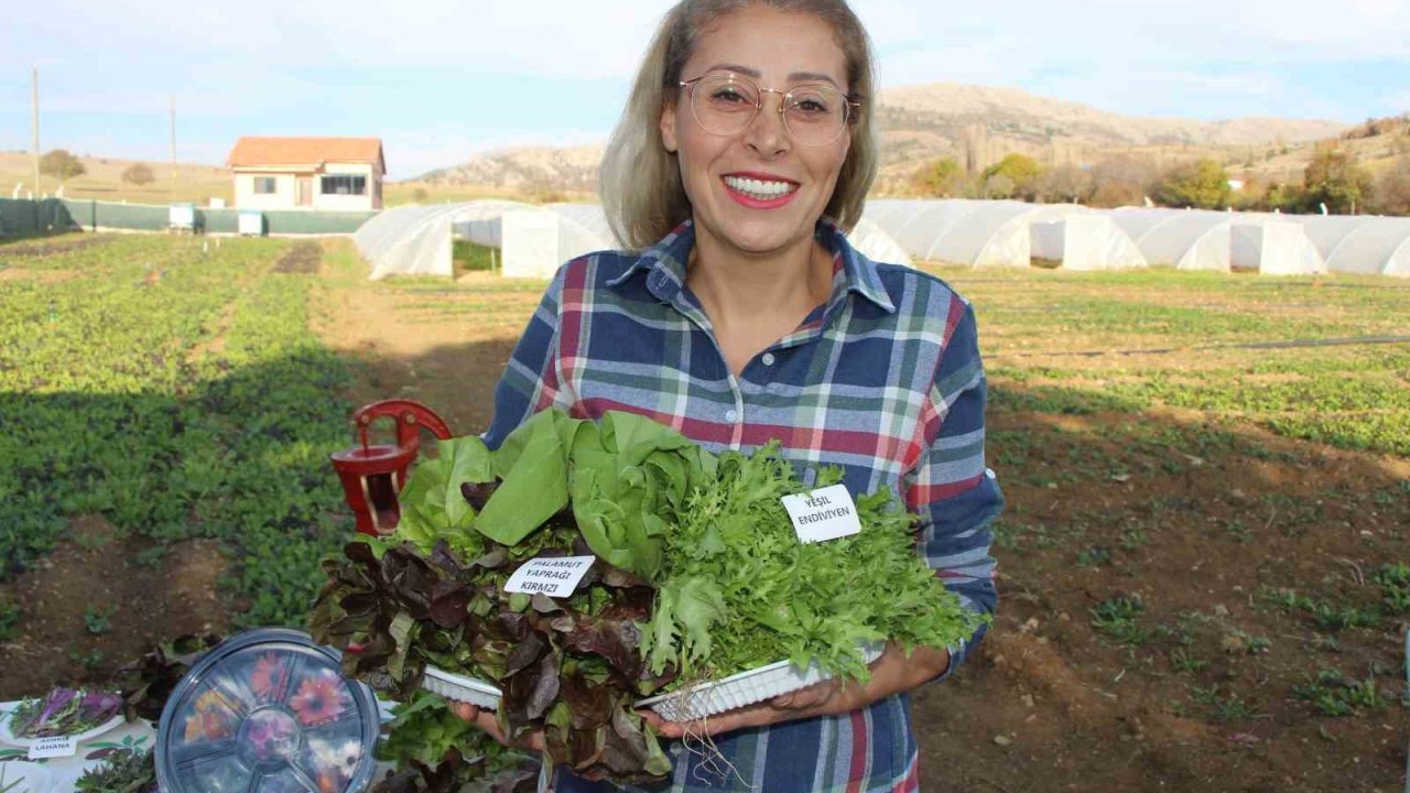 İstanbul’dan köyüne dönen gıda mühendisi kadın yeşil mirası renklendirdi