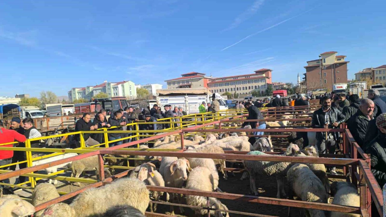 Uzun süredir kapalı olan canlı hayvan pazarı açıldı