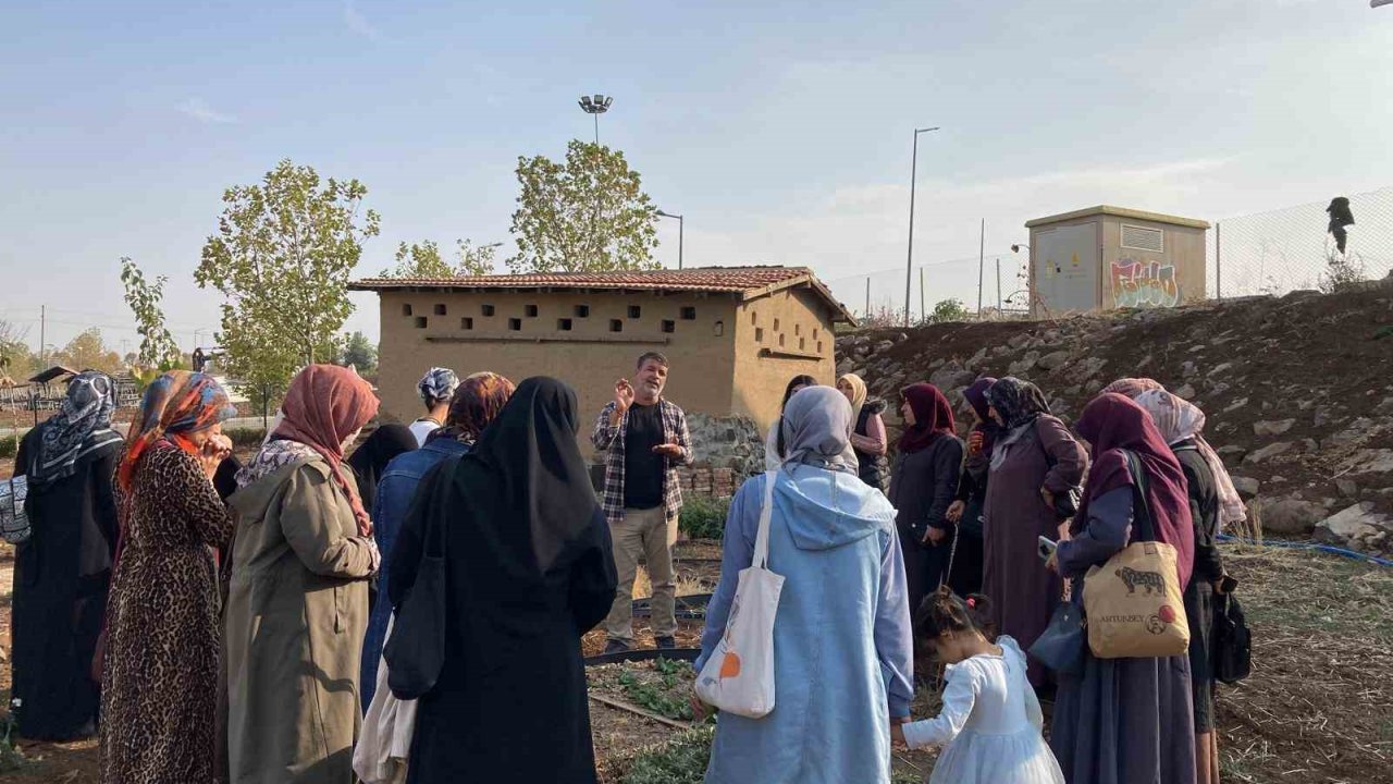 Kadınlar tıbbi ve aromatik bitkileri yerinde tanıyor