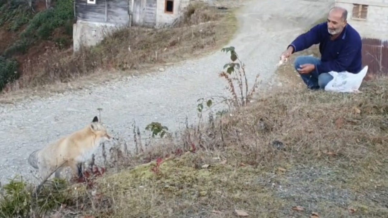 Pimbilona Yaylası’nda sıra dışı dostluk