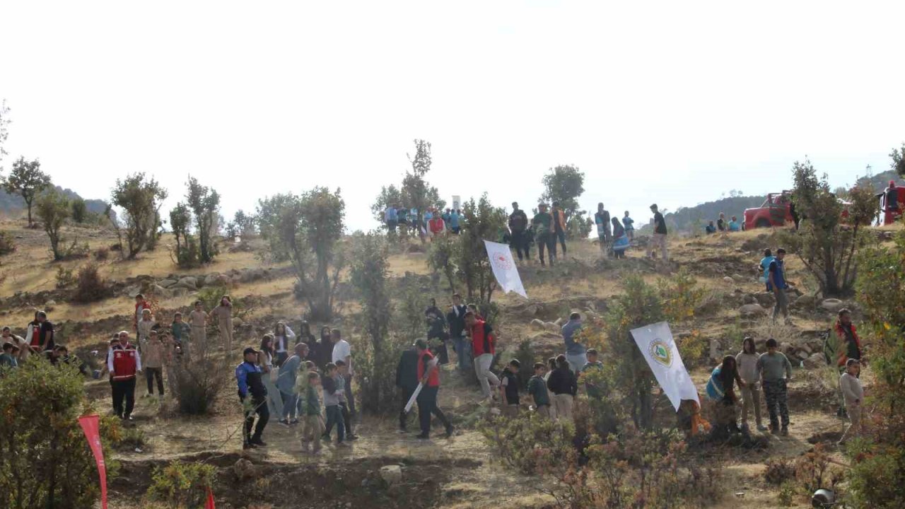Şırnak’ta "Adliye Hatıra Ormanı" kuruldu