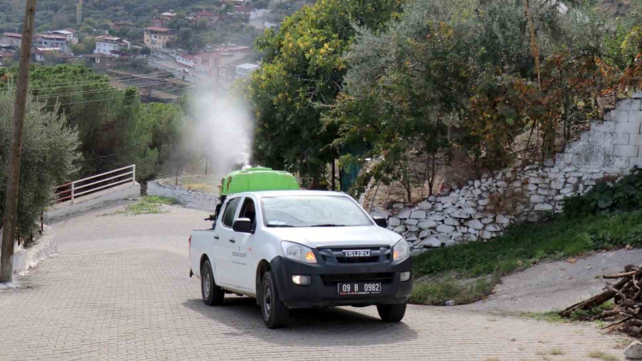 Bozdoğan’da karasinekle mücadele