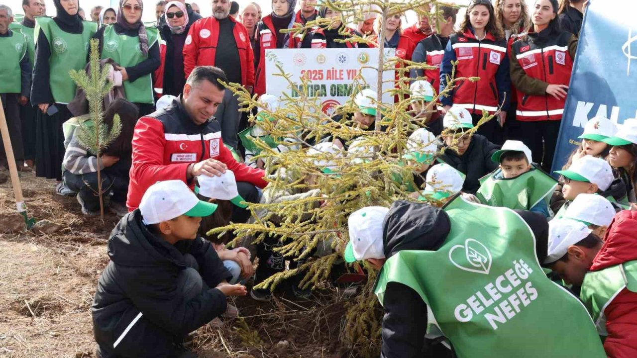 Aile Yılı’nda anlamlı buluşma: Aile Hatıra Ormanı’nda fidanlar toprakla buluştu