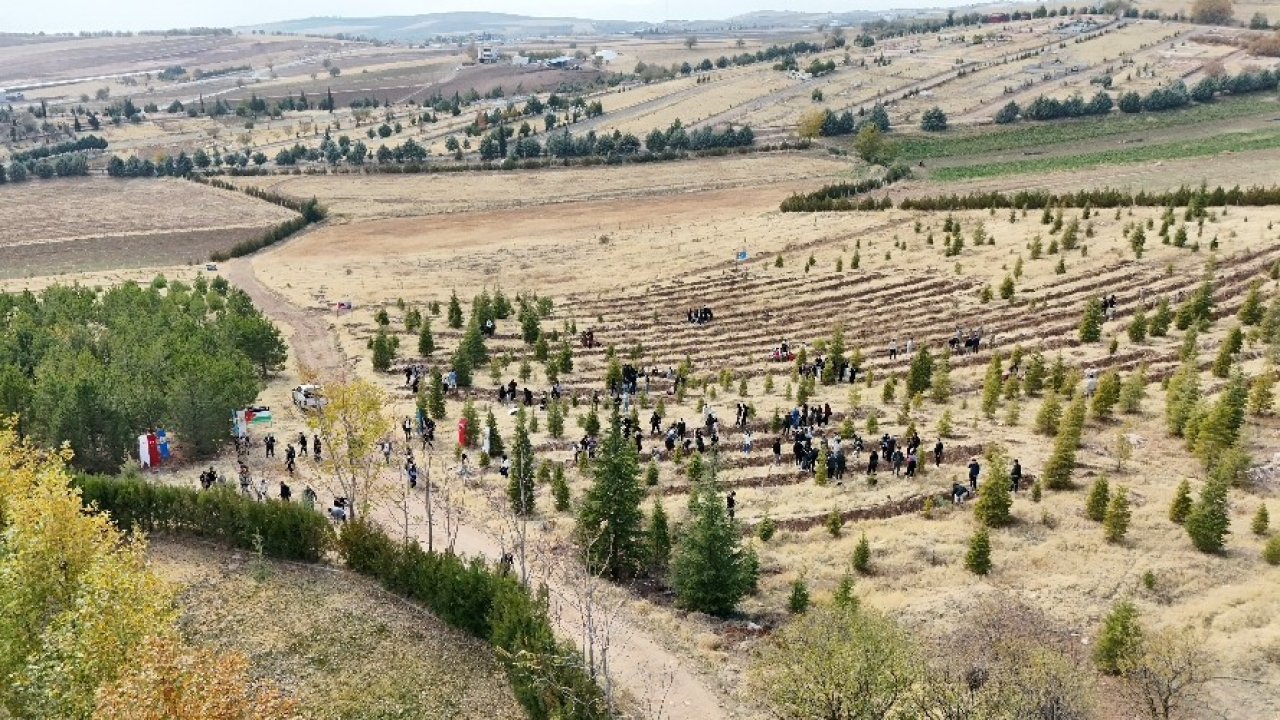 Elazığ’da Doğu Türkistan ve Filistin için fidan diktiler