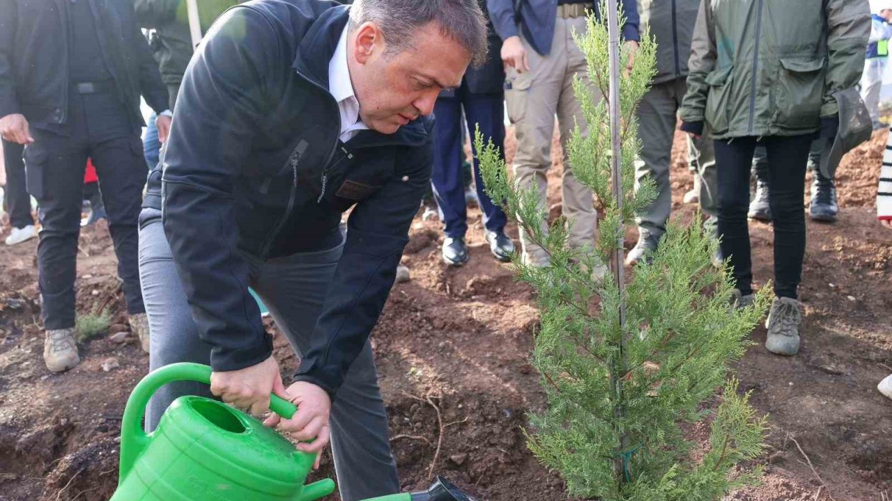 Orman yangınlarından etkilenen bölgede 5 bin fidanı toprakla buluşturuldu